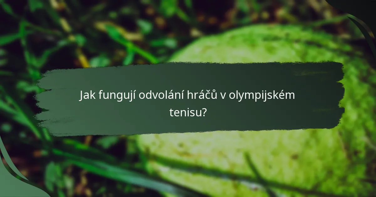 Jak fungují odvolání hráčů v olympijském tenisu?