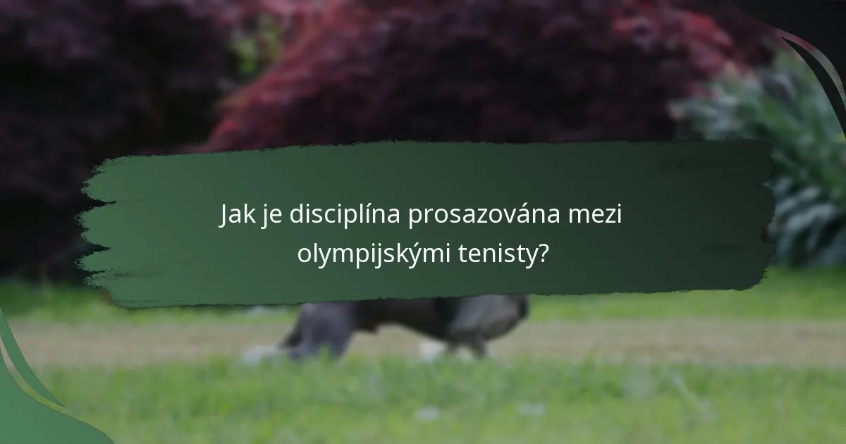 Jak je disciplína prosazována mezi olympijskými tenisty?