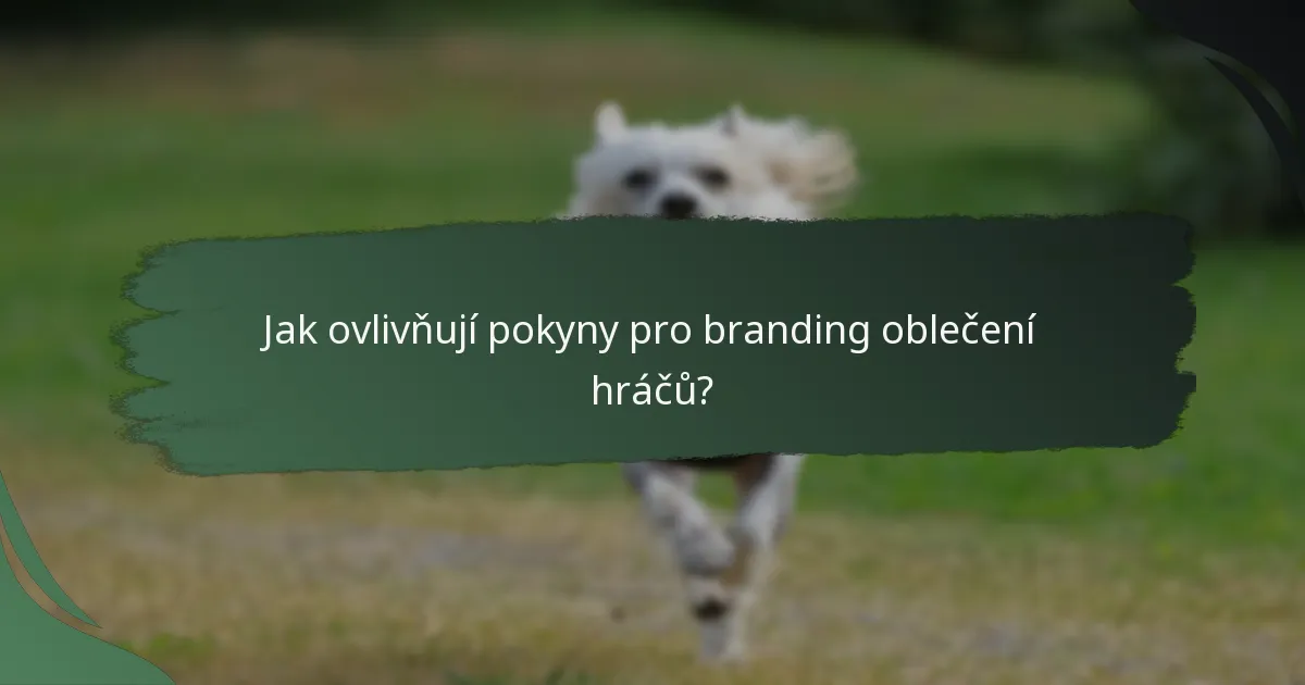 Jak ovlivňují pokyny pro branding oblečení hráčů?