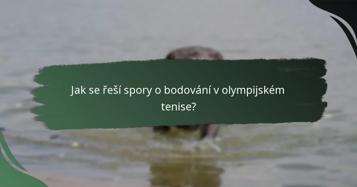 Jak se řeší spory o bodování v olympijském tenise?
