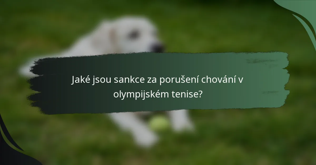 Jaké jsou sankce za porušení chování v olympijském tenise?