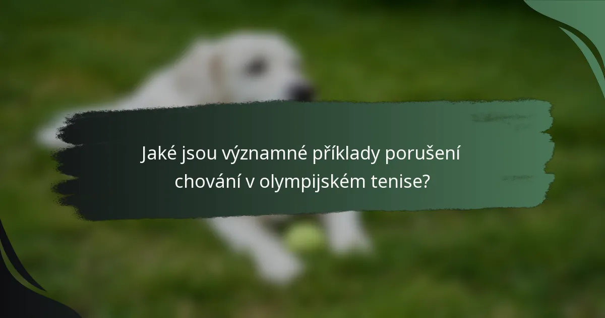 Jaké jsou významné příklady porušení chování v olympijském tenise?