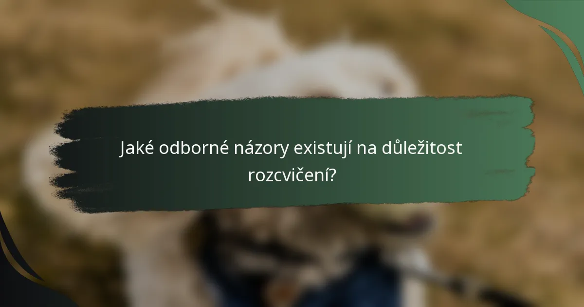 Jaké odborné názory existují na důležitost rozcvičení?