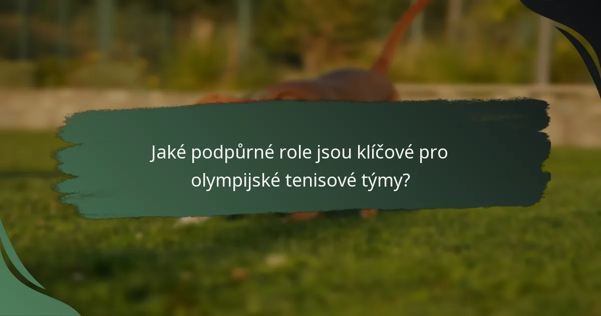 Jaké podpůrné role jsou klíčové pro olympijské tenisové týmy?